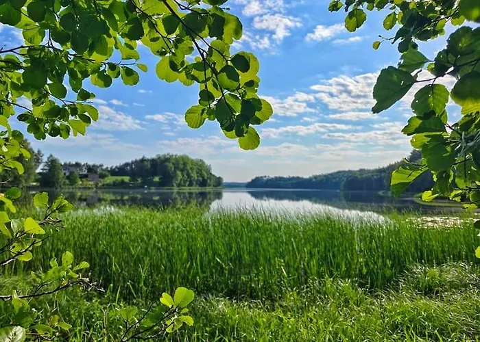 W Zaciszu * Grzybowo (Pomerania)